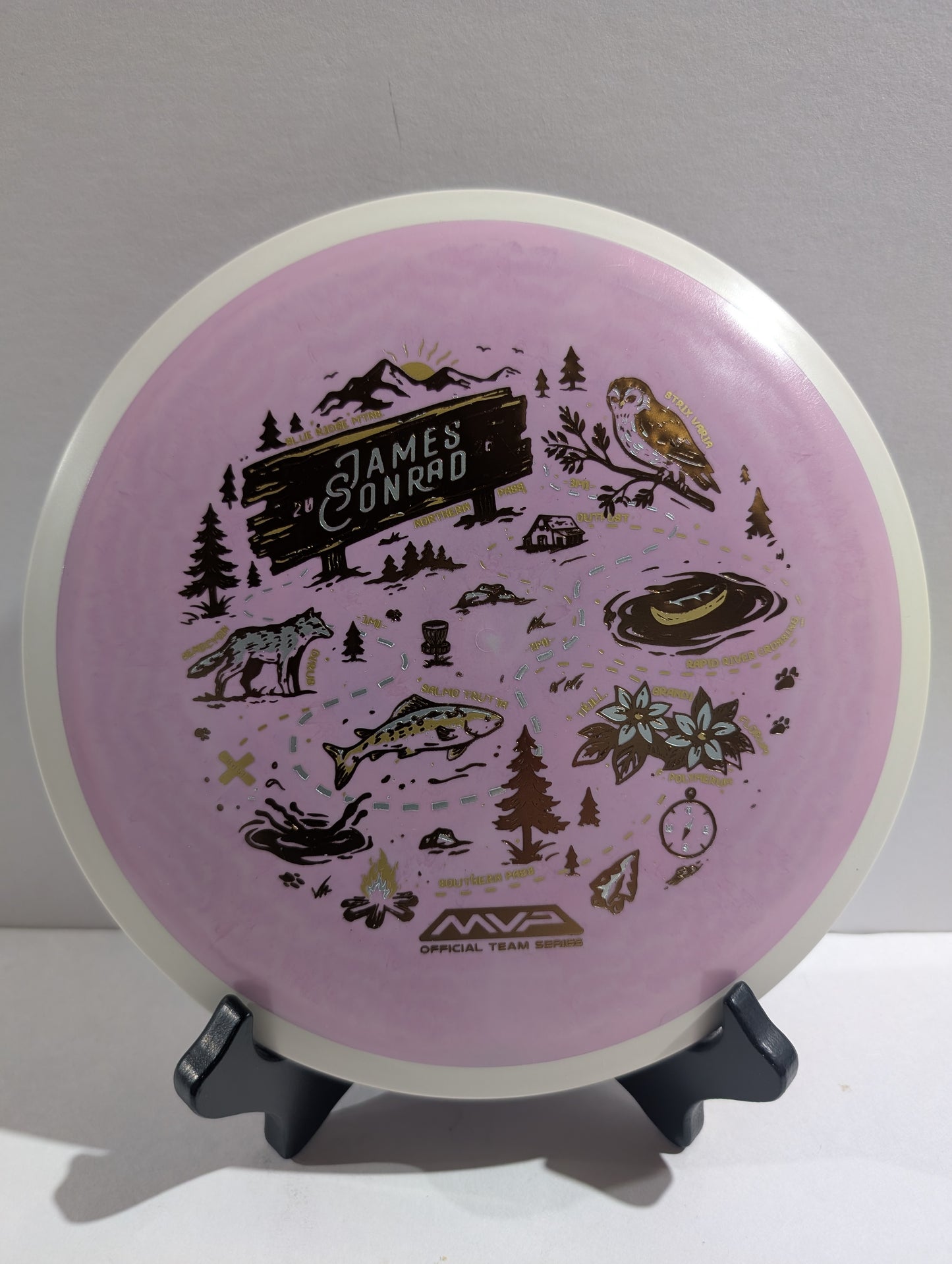 Disc with illustrations and text on a stand against a gray background