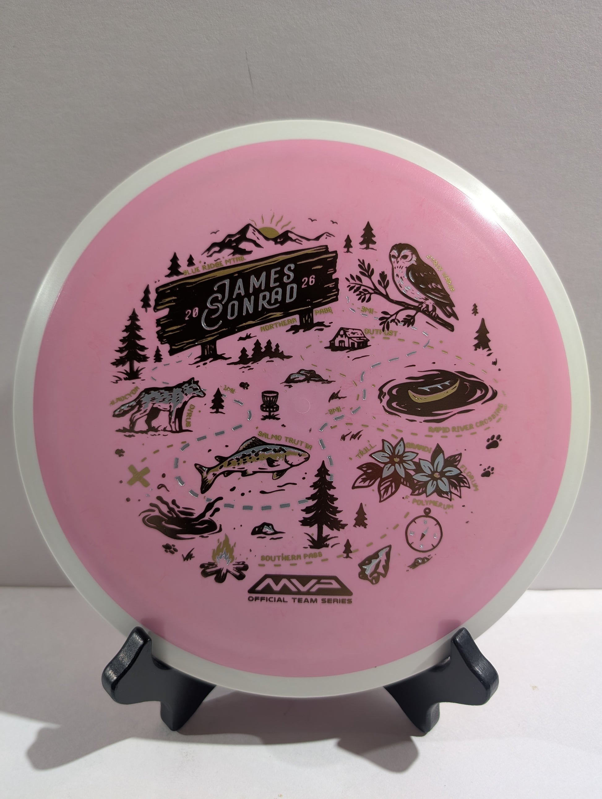 Pink disc with dark illustrations on a stand against a gray background